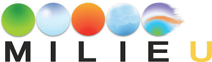 Milieu Global